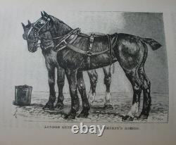 1893 Very Rare First Edition Horse World of London Illustrated Antiquarian Book