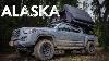 A Rare Alaskan Sighting Left Us Breathless Overlanding The North Country S5e23