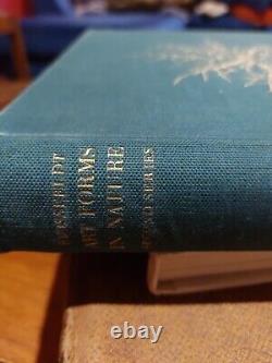 Art Forms In Nature Second Series By Karl Blossfeldt 1932 1st Edition. Very Rare