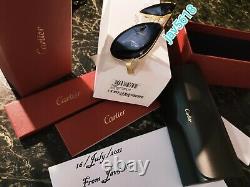 Cartier Sunglasses Santos Dumont Aviator Pilot Very Rare Edition Titanium Gold