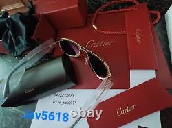Cartier Sunglasses Santos Dumont Special Edition Gold Titanium Pilot Very Rare