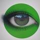 Crylong Green Print By My Dog Sighs Nelly Duff. Very Rare Artist Proof Edition