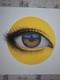 Crylong Yellow Print By My Dog Sighs Nelly Duff. Very Rare Artist Proof Edition