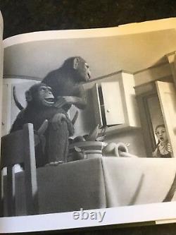 Jumanji Chris Van Allsburg, Very Rare USA First Edition 1981