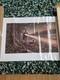 Mick Cawston Limited Edition Prints. Very Rare. Lamping Print