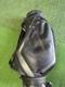 Nike Golf Tour Bag Limited Edition Very Rare Tiger Woods