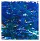 Seth Armstrong Blue Signed And Numbered Edition Of 90 With Coa Very Rare