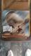 The Art Of The Iron Giant Hardcover By Zahed, Ramin Very Rare First Edition
