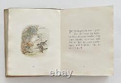 The Tale Of Peter Rabbit 1902 Deluxe Copy Very Rare Beatrix Potter