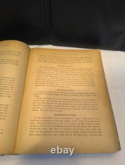 VERY RARE! 1st Edition Antique White House Cookbook Gillette & Peale 1887-1889