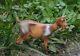 Very Rare Discontinued Schleich #82718 Nanny Goat Special Edition / Retired