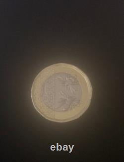 Very Rare 2025 King Charles III Bee 1 Pound Coin Limited Edition Mint Condition