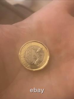 Very Rare 2025 King Charles III Bee 1 Pound Coin Limited Edition Mint Condition