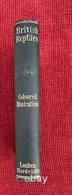 Very Rare British Reptiles By M C Cooke Published 1865 1st Edition