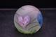 Very Rare Caithness Paperweight By Colin Terris 1986 Limited Edition