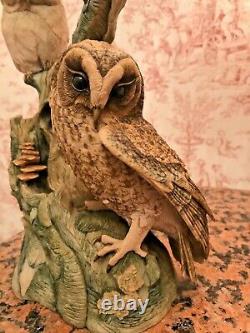 Very Rare Large Ltd Edition 1987 Teviotdale Edlmann Owl With Owlets 14.5 Box