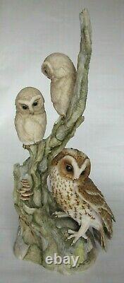 Very Rare Large Ltd Edition 1987 Teviotdale Tawny Owl with Owlets 37cm Tall