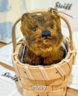 Very Rare Steiff Wizard Of Oz Toto Limited Edition 896