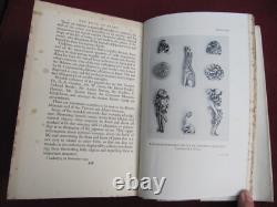 Williamson The Book of Ivory (1938) First edition VERY RARE with dust jacket