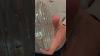 Would You Pay 45 000 For A Bottle Of Perfume We Just Sent This Bottle To Briggsauction