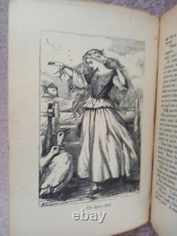 Contes de fées et histoires de ménage des frères Grimm. Édition très rare et illustrée 1901