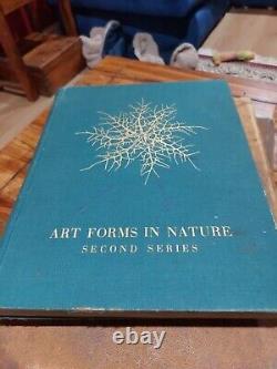 Formes d'art dans la nature Deuxième série par Karl Blossfeldt 1932 1ère édition. Très rare.