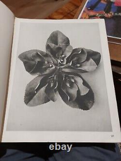 Formes d'art dans la nature Deuxième série par Karl Blossfeldt 1932 1ère édition. Très rare.