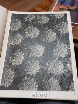 Formes d'art dans la nature Deuxième série par Karl Blossfeldt 1932 1ère édition. Très rare.