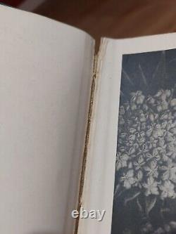 Formes d'art dans la nature Deuxième série par Karl Blossfeldt 1932 1ère édition. Très rare.