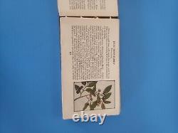 Guide des fleurs de l'Ouest de Charles Francis Saunders, Très Rare Première Édition 1917