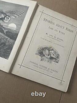 Histoires sur les oiseaux par M & E Kirby Livre Victorien Très Rare / Édition Rare