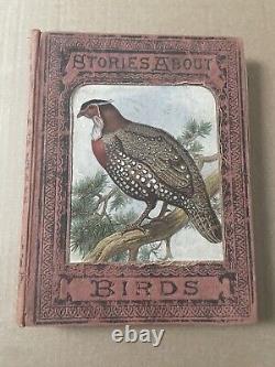 Histoires sur les oiseaux par M & E Kirby Livre Victorien Très Rare / Édition Rare