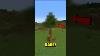 L'arbre Le Plus Rare Dans Minecraft