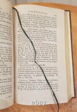 La flore britannique 1777 Stephen Robson Très rare 1ère édition Livre relié en cuir
