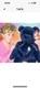 Ourson Beanie Très Rare De La Princesse Diana, 1ère édition