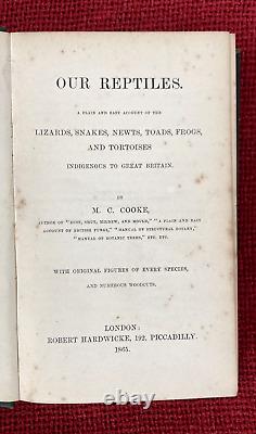 Reptiles britanniques très rares par M C Cooke publié en 1865 1ère édition