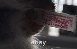 Steiff Lizzy chat Maine Coon 36 cm très rare édition limitée 2008