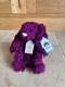 Tr&egrave;s Rare Peluche Lapin Jellycat Jamie Bunny &eacute;dition Sp&eacute;ciale Retir&eacute;e Avec &eacute;tiquette D&rsquo;origine Bnwt