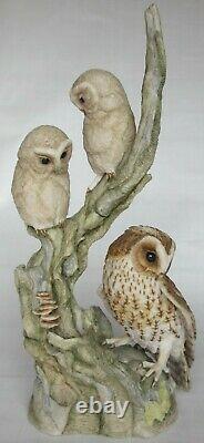 Very Rare Large Ltd Edition 1987 Teviotdale Tawny Owl Avec Owlets 37cm Tall