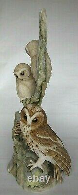 Very Rare Large Ltd Edition 1987 Teviotdale Tawny Owl Avec Owlets 37cm Tall