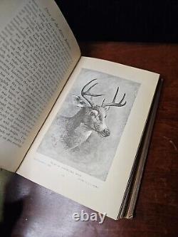 Voyages de chasse d'un ranchman par Theodore Roosevelt Première édition 1886, très rare