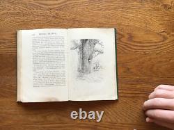 Winnie l'Ourson, 1926, 1ère Édition, 1er Tirage, TRÈS RARE OBJET DE COLLECTION